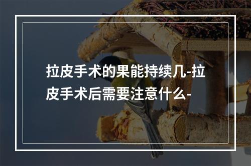 拉皮手术的果能持续几-拉皮手术后需要注意什么-