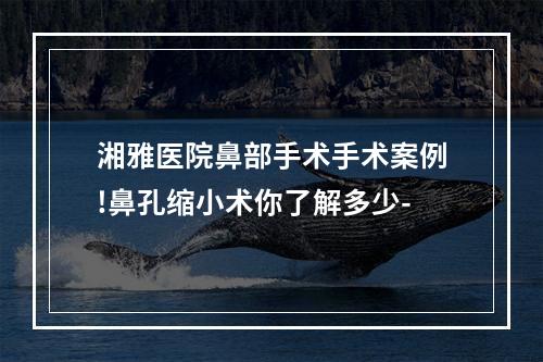 湘雅医院鼻部手术手术案例!鼻孔缩小术你了解多少-