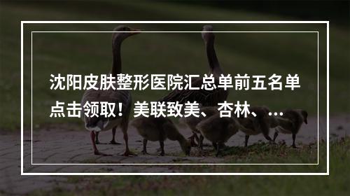 沈阳皮肤整形医院汇总单前五名单点击领取！美联致美、杏林、美莱实力入选