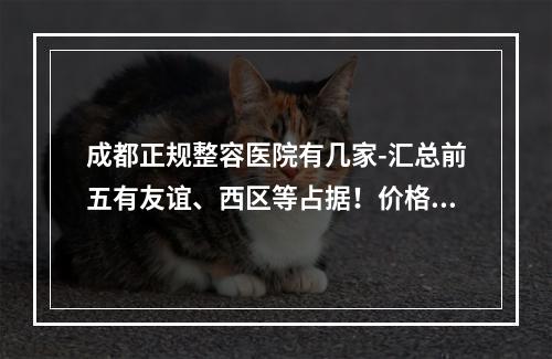 成都正规整容医院有几家-汇总前五有友谊、西区等占据！价格收费一一了解！