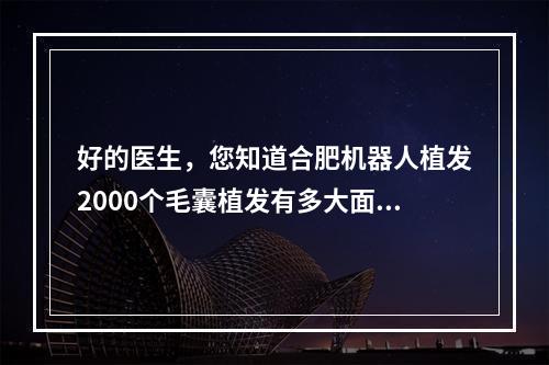 好的医生，您知道合肥机器人植发2000个毛囊植发有多大面积吗？