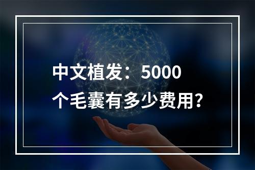 中文植发：5000个毛囊有多少费用？