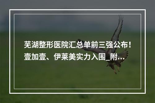 芜湖整形医院汇总单前三强公布！壹加壹、伊莱美实力入围_附热门价格查询