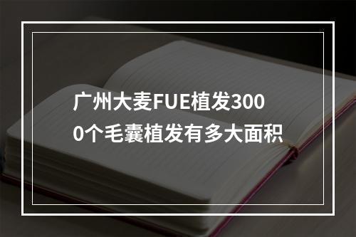 广州大麦FUE植发3000个毛囊植发有多大面积