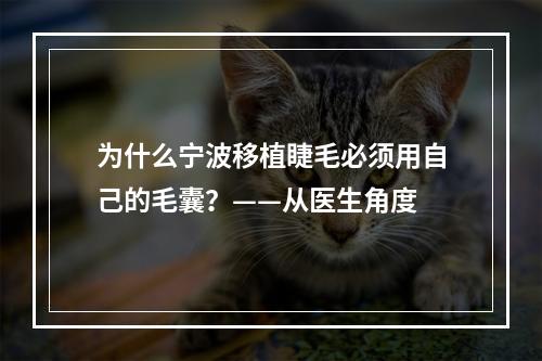 为什么宁波移植睫毛必须用自己的毛囊？——从医生角度