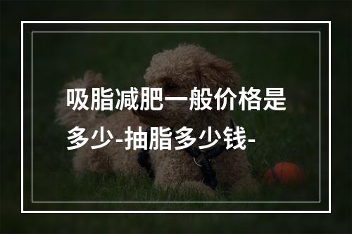 吸脂减肥一般价格是多少-抽脂多少钱-