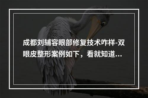 成都刘辅容眼部修复技术咋样-双眼皮整形案例如下，看就知道了