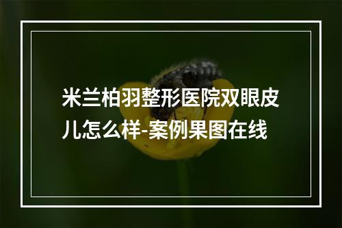 米兰柏羽整形医院双眼皮儿怎么样-案例果图在线