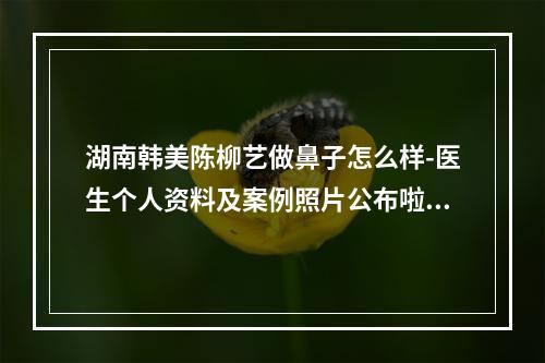 湖南韩美陈柳艺做鼻子怎么样-医生个人资料及案例照片公布啦！