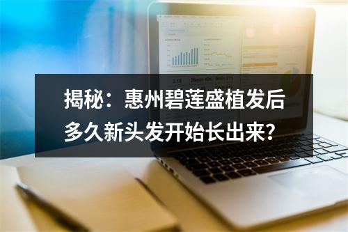 揭秘：惠州碧莲盛植发后多久新头发开始长出来？