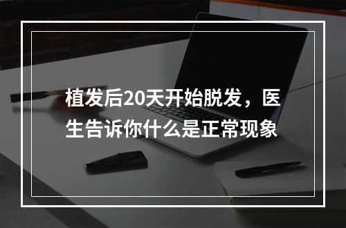 植发后20天开始脱发，医生告诉你什么是正常现象