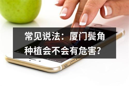 常见说法：厦门鬓角种植会不会有危害？