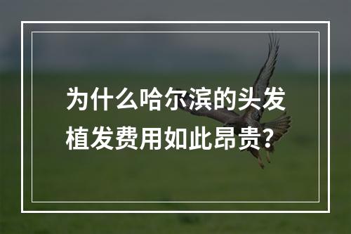 为什么哈尔滨的头发植发费用如此昂贵？