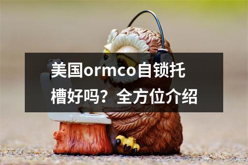 美国ormco自锁托槽好吗？全方位介绍