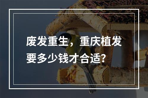 废发重生，重庆植发要多少钱才合适？