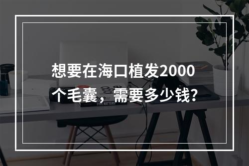 想要在海口植发2000个毛囊，需要多少钱？