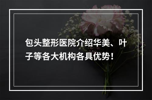 包头整形医院介绍华美、叶子等各大机构各具优势！