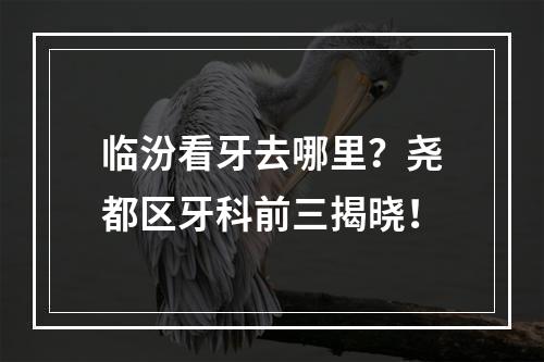 临汾看牙去哪里？尧都区牙科前三揭晓！