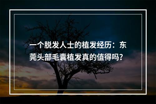 一个脱发人士的植发经历：东莞头部毛囊植发真的值得吗？