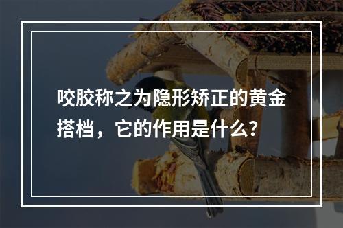 咬胶称之为隐形矫正的黄金搭档，它的作用是什么？