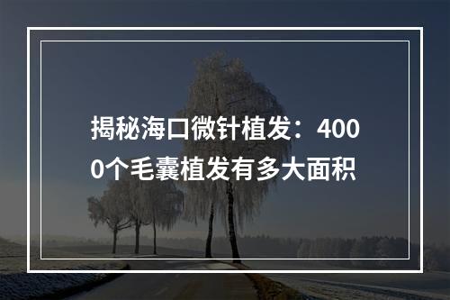 揭秘海口微针植发：4000个毛囊植发有多大面积