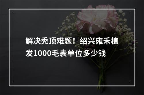 解决秃顶难题！绍兴雍禾植发1000毛囊单位多少钱