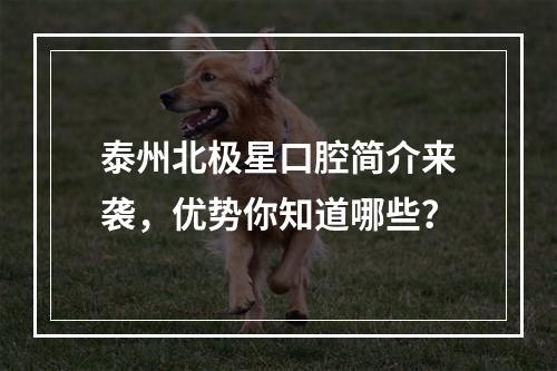 泰州北极星口腔简介来袭，优势你知道哪些？