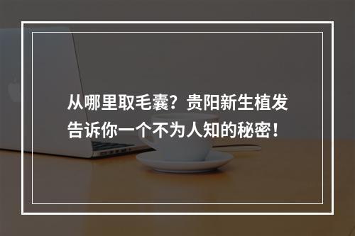 从哪里取毛囊？贵阳新生植发告诉你一个不为人知的秘密！