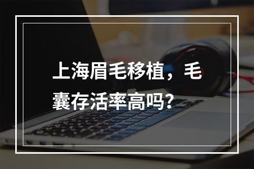 上海眉毛移植，毛囊存活率高吗？