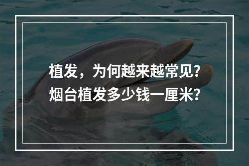 植发，为何越来越常见？烟台植发多少钱一厘米？