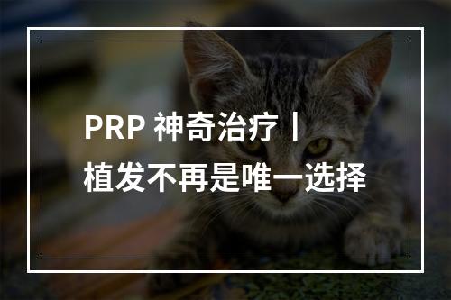 PRP 神奇治疗丨植发不再是唯一选择