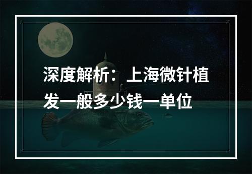 深度解析：上海微针植发一般多少钱一单位