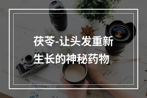 茯苓-让头发重新生长的神秘药物