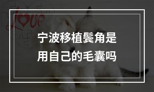 宁波移植鬓角是用自己的毛囊吗