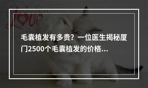 毛囊植发有多贵？一位医生揭秘厦门2500个毛囊植发的价格真相