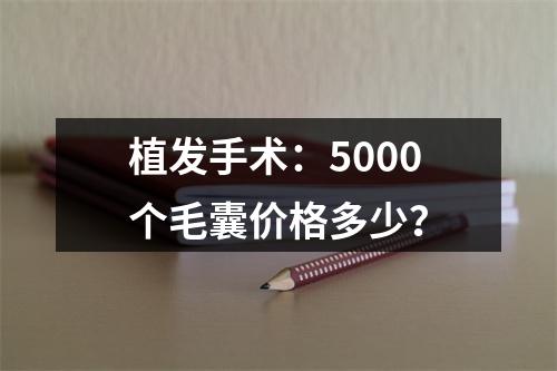 植发手术：5000个毛囊价格多少？