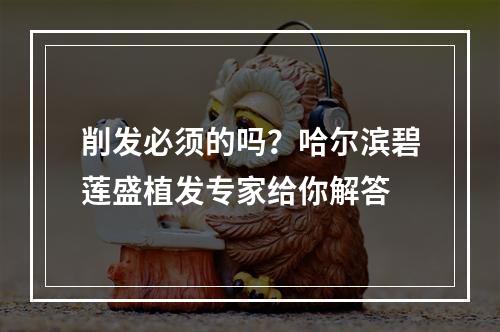 削发必须的吗？哈尔滨碧莲盛植发专家给你解答