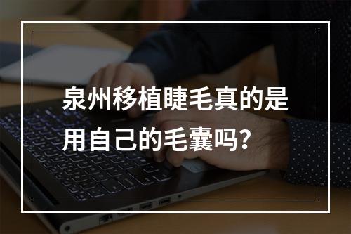 泉州移植睫毛真的是用自己的毛囊吗？