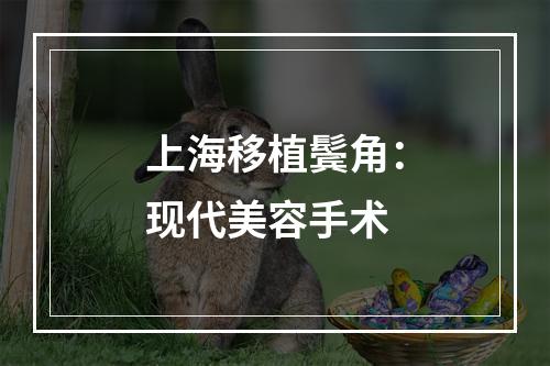 上海移植鬓角：现代美容手术