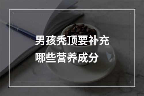 男孩秃顶要补充哪些营养成分