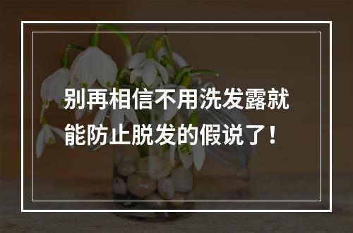 别再相信不用洗发露就能防止脱发的假说了！