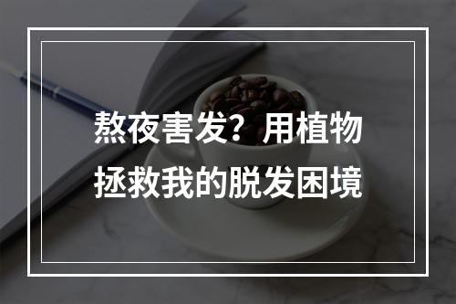 熬夜害发？用植物拯救我的脱发困境