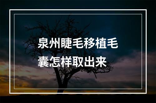 泉州睫毛移植毛囊怎样取出来