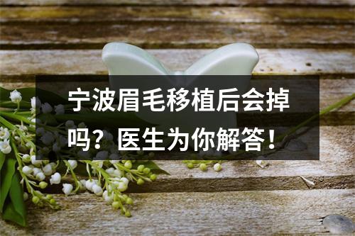 宁波眉毛移植后会掉吗？医生为你解答！