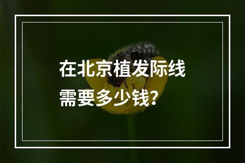 在北京植发际线需要多少钱？