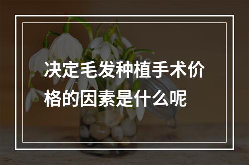 决定毛发种植手术价格的因素是什么呢