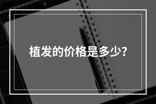 植发的价格是多少？