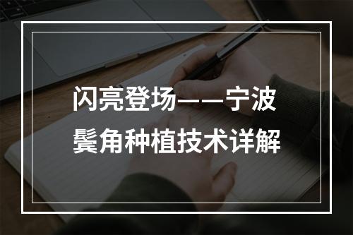 闪亮登场——宁波鬓角种植技术详解