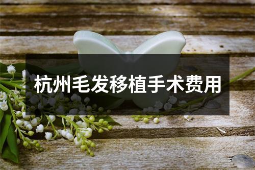 杭州毛发移植手术费用