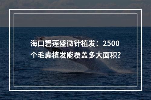 海口碧莲盛微针植发：2500个毛囊植发能覆盖多大面积？